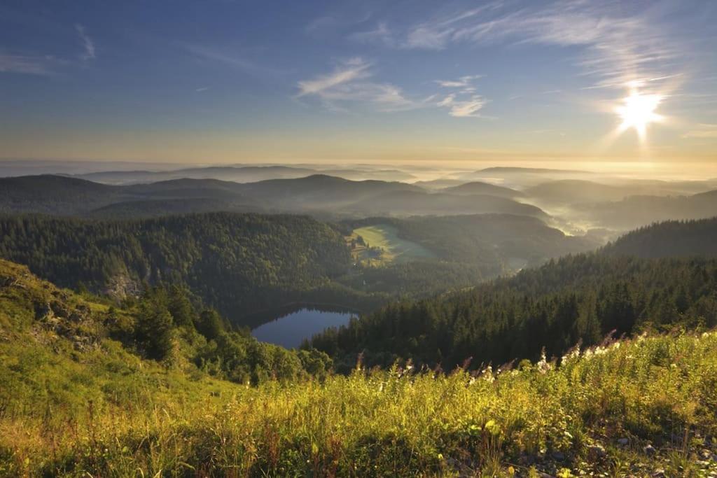 Waldlicht Titisee Bagian luar foto