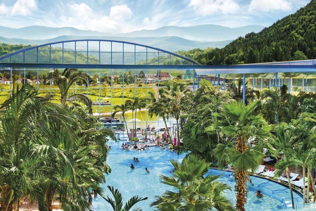 Waldlicht Titisee Bagian luar foto