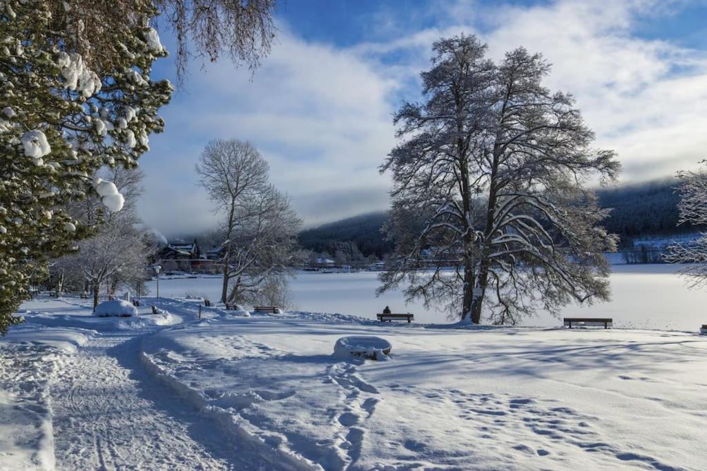 Waldlicht Titisee Bagian luar foto