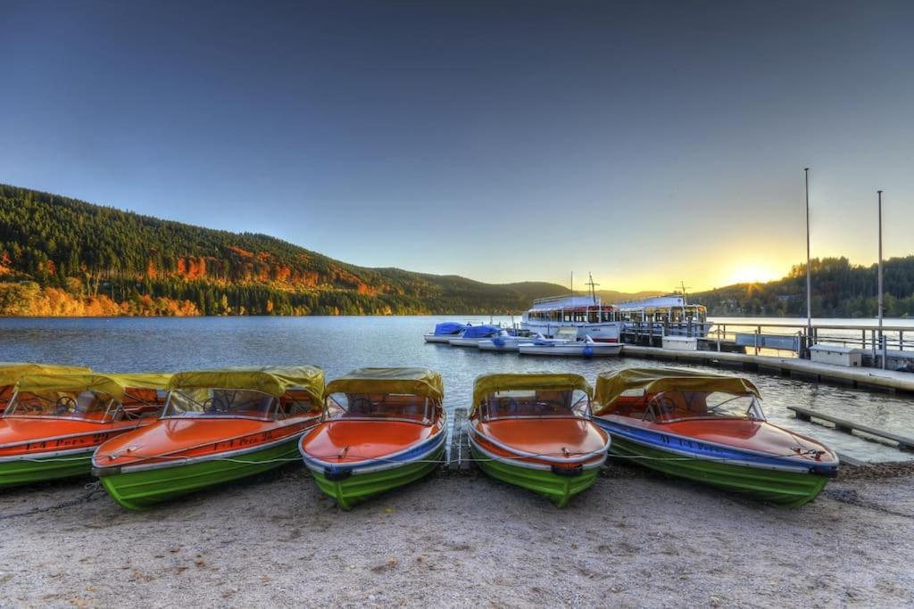 Waldlicht Titisee Bagian luar foto
