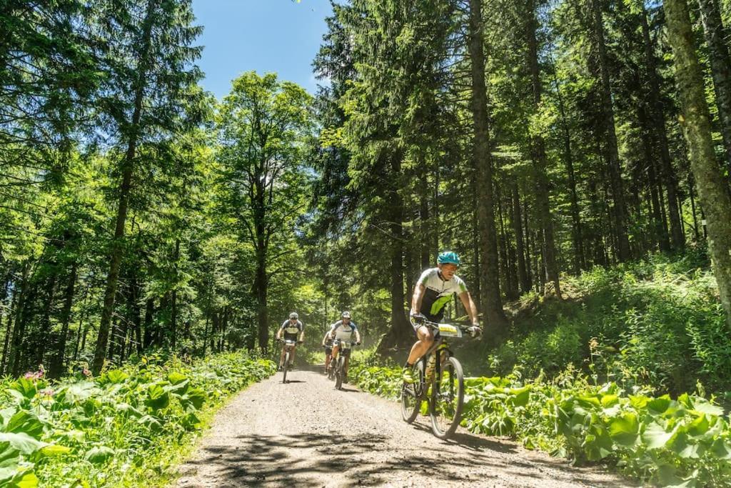 Waldlicht Titisee Bagian luar foto