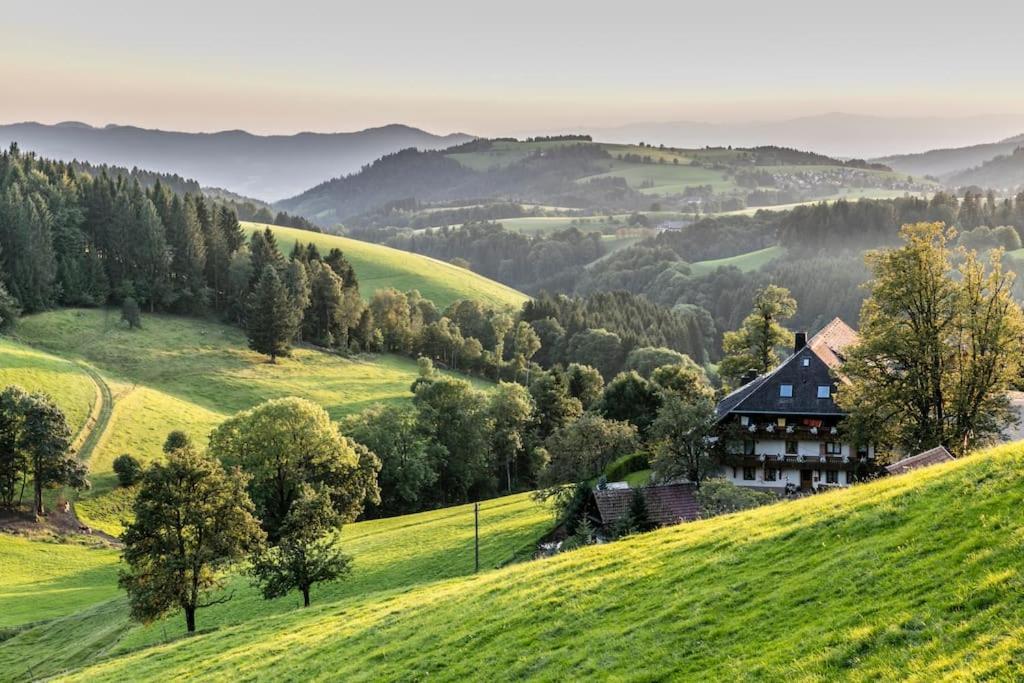 Waldlicht Titisee Bagian luar foto