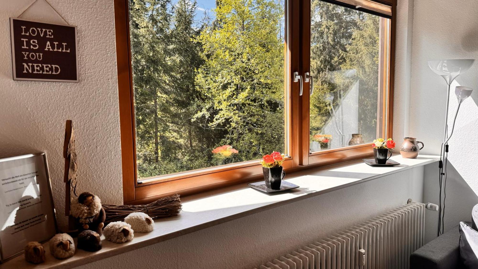 Waldlicht Titisee Bagian luar foto